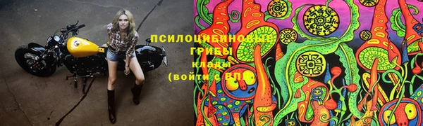 первитин Вяземский