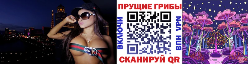 Купить где  Белогорск  Галлюциногенные грибы прущие грибы 